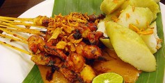 Easy Kids Science Facts on Brunei - image of the Brunei Satay