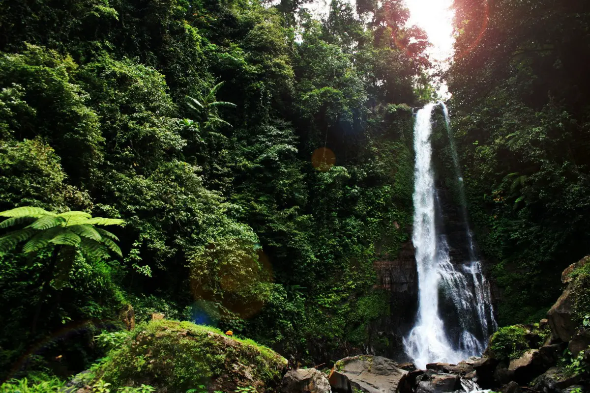 Easy Science Kids Facts Indonesia Quiz - Image of the Gitgit Waterfall in Bali Indonesia