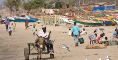Fun Earth Science Facts for Kids on Gambia - Image of a Gambian Beach - Gambia Quiz