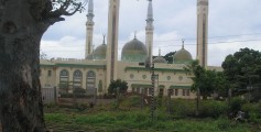 Fun Earth Science Facts for Kids on Guinea - Image of the Conakry Mosque in Guinea - Guinea Worksheet