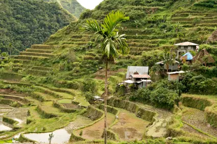 Fun Facts for Kids on Philippines - Image of the Rice Terraces - Philippines Quiz