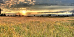 Fun Facts for Kids All About Macedonia - Image of Fields in Macedonia