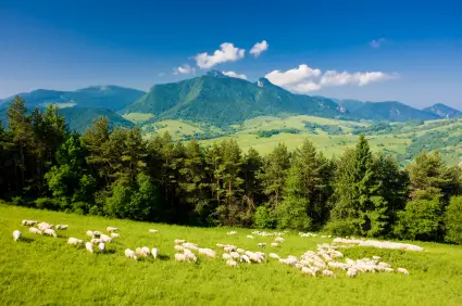 Kids Science Fun Facts on Slovakia - Image of a Landscape in Slovakia - Slovakia Quiz