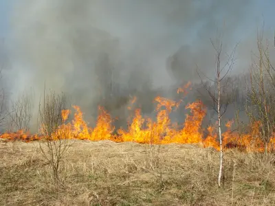 Simple Science for Kids Wildfires Quiz - Image of Burning Grass